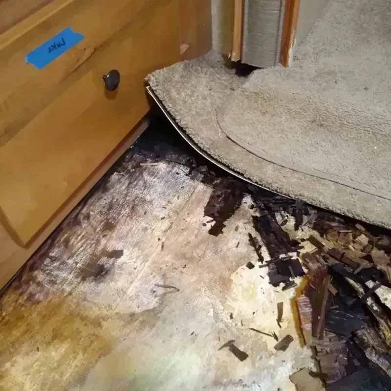 Best Wood Floor Water Damage Service in Ferry County, WA